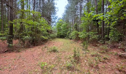 Photo #39 of SOLD property in Off Kegotank Rd, Nelsonia, VA 93.0 acres