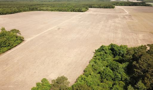 Photo #2 of SOLD property in Off Kegotank Rd, Nelsonia, VA 195.0 acres
