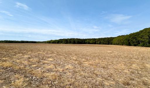 Photo #5 of SOLD property in Off Kegotank Rd, Nelsonia, VA 195.0 acres