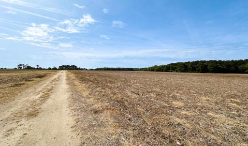 Photo #7 of SOLD property in Off Kegotank Rd, Nelsonia, VA 195.0 acres