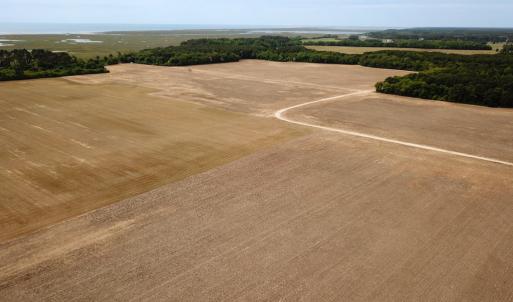 Photo #8 of SOLD property in Off Kegotank Rd, Nelsonia, VA 195.0 acres