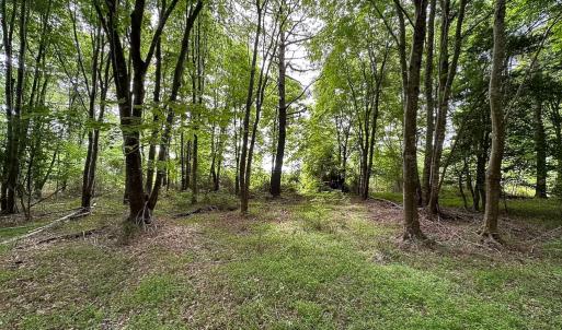 Photo #10 of SOLD property in Off Kegotank Rd, Nelsonia, VA 195.0 acres