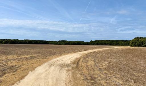 Photo #11 of SOLD property in Off Kegotank Rd, Nelsonia, VA 195.0 acres