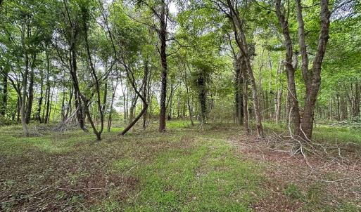 Photo #12 of SOLD property in Off Kegotank Rd, Nelsonia, VA 195.0 acres