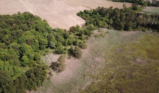 Photo #16 of SOLD property in Off Kegotank Rd, Nelsonia, VA 195.0 acres