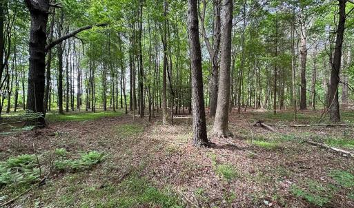 Photo #17 of SOLD property in Off Kegotank Rd, Nelsonia, VA 195.0 acres