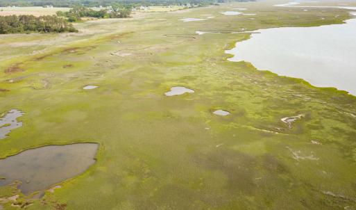 Photo #18 of SOLD property in Off Kegotank Rd, Nelsonia, VA 195.0 acres