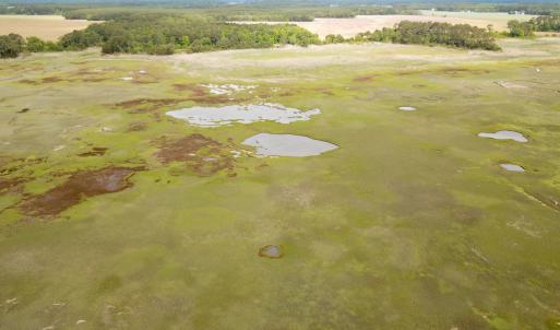Photo #21 of SOLD property in Off Kegotank Rd, Nelsonia, VA 195.0 acres