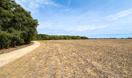 Photo #23 of SOLD property in Off Kegotank Rd, Nelsonia, VA 195.0 acres
