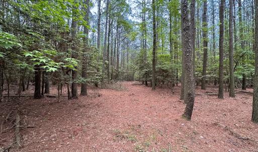 Photo #26 of SOLD property in Off Kegotank Rd, Nelsonia, VA 195.0 acres