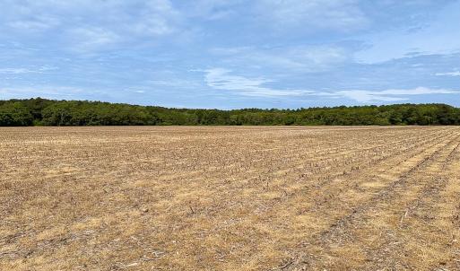 Photo #27 of SOLD property in Off Kegotank Rd, Nelsonia, VA 195.0 acres