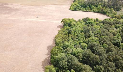 Photo #30 of SOLD property in Off Kegotank Rd, Nelsonia, VA 195.0 acres