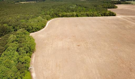 Photo #32 of SOLD property in Off Kegotank Rd, Nelsonia, VA 195.0 acres
