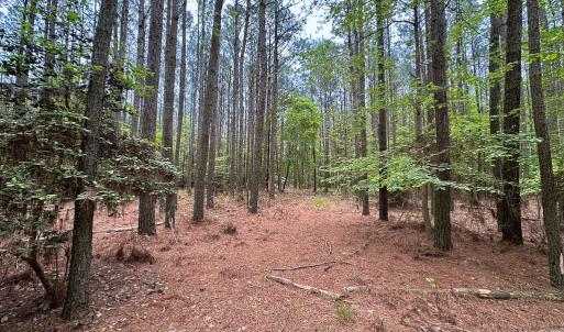 Photo #33 of SOLD property in Off Kegotank Rd, Nelsonia, VA 195.0 acres