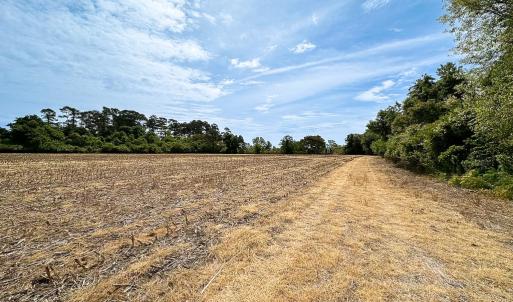 Photo #34 of SOLD property in Off Kegotank Rd, Nelsonia, VA 195.0 acres