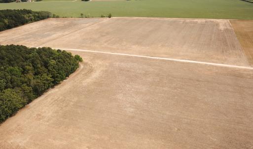 Photo #35 of SOLD property in Off Kegotank Rd, Nelsonia, VA 195.0 acres