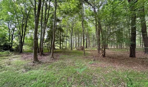 Photo #36 of SOLD property in Off Kegotank Rd, Nelsonia, VA 195.0 acres