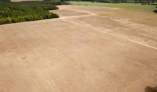 Photo #37 of SOLD property in Off Kegotank Rd, Nelsonia, VA 195.0 acres