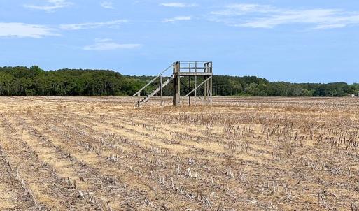 Photo #38 of SOLD property in Off Kegotank Rd, Nelsonia, VA 195.0 acres
