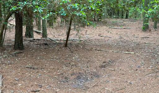Photo #39 of SOLD property in Off Kegotank Rd, Nelsonia, VA 195.0 acres