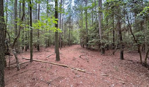 Photo #40 of SOLD property in Off Kegotank Rd, Nelsonia, VA 195.0 acres