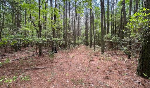 Photo #4 of SOLD property in Off Kegotank Rd, Nelsonia, VA 10.5 acres