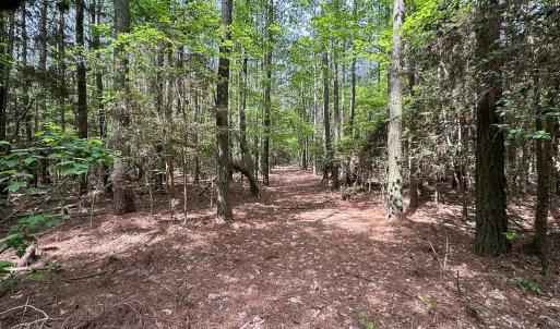 Photo #5 of SOLD property in Off Kegotank Rd, Nelsonia, VA 10.5 acres