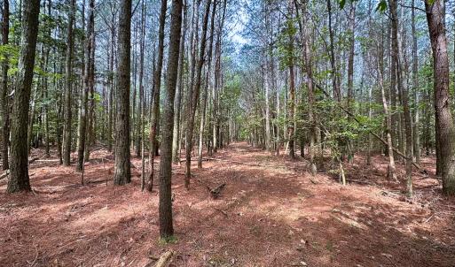 Photo #7 of SOLD property in Off Kegotank Rd, Nelsonia, VA 10.5 acres