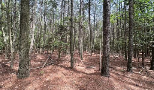 Photo #9 of SOLD property in Off Kegotank Rd, Nelsonia, VA 10.5 acres
