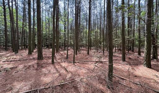 Photo #10 of SOLD property in Off Kegotank Rd, Nelsonia, VA 10.5 acres