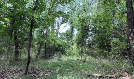 Photo #11 of SOLD property in Off Kegotank Rd, Nelsonia, VA 10.5 acres
