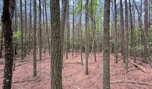 Photo #13 of SOLD property in Off Kegotank Rd, Nelsonia, VA 10.5 acres