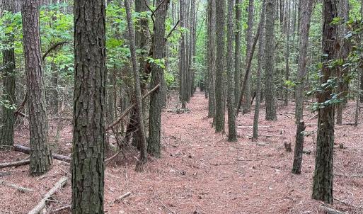 Photo #15 of SOLD property in Off Kegotank Rd, Nelsonia, VA 10.5 acres