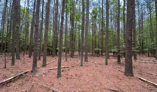 Photo #16 of SOLD property in Off Kegotank Rd, Nelsonia, VA 10.5 acres