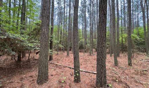 Photo #17 of SOLD property in Off Kegotank Rd, Nelsonia, VA 10.5 acres