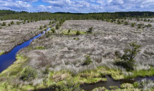 Photo #12 of SOLD property in Off NC 304, Hobucken, NC 9.0 acres