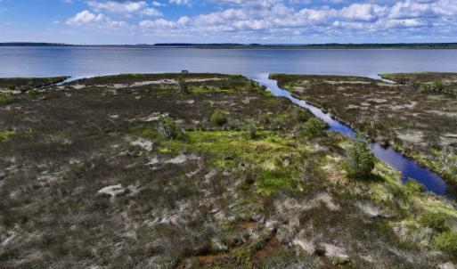Photo #13 of SOLD property in Off NC 304, Hobucken, NC 9.0 acres