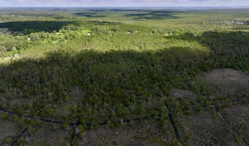 Photo #16 of SOLD property in Off NC 304, Hobucken, NC 9.0 acres