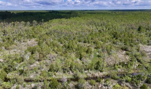 Photo #17 of SOLD property in Off NC 304, Hobucken, NC 9.0 acres