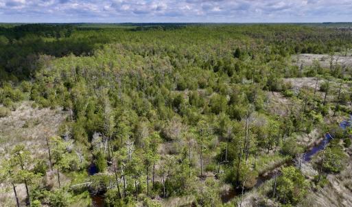 Photo #18 of SOLD property in Off NC 304, Hobucken, NC 9.0 acres