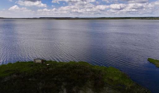 Photo #7 of SOLD property in Off NC 304, Hobucken, NC 9.0 acres