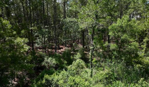 Photo #25 of SOLD property in Off NC 304, Hobucken, NC 9.0 acres