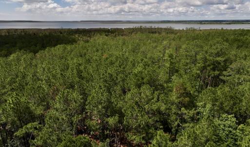Photo #26 of SOLD property in Off NC 304, Hobucken, NC 9.0 acres