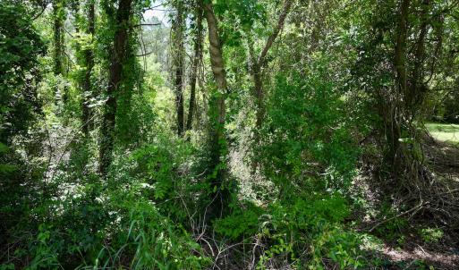 Photo #29 of SOLD property in Off NC 304, Hobucken, NC 9.0 acres