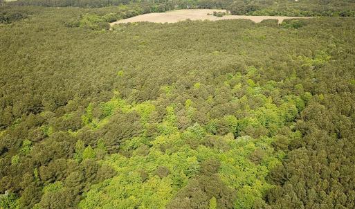 Photo #2 of SOLD property in Lot 2 - Off Kegotank Rd, Nelsonia, VA 1.8 acres