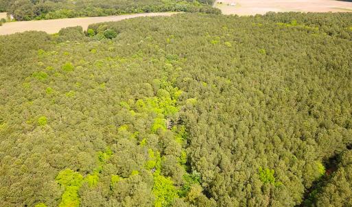 Photo #3 of SOLD property in Lot 2 - Off Kegotank Rd, Nelsonia, VA 1.8 acres