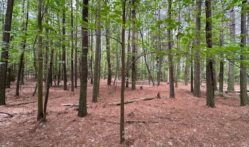 Photo #4 of SOLD property in Lot 2 - Off Kegotank Rd, Nelsonia, VA 1.8 acres