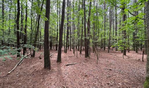 Photo #6 of SOLD property in Lot 2 - Off Kegotank Rd, Nelsonia, VA 1.8 acres