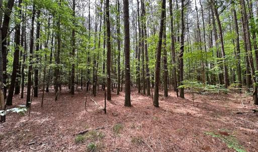 Photo #7 of SOLD property in Lot 2 - Off Kegotank Rd, Nelsonia, VA 1.8 acres