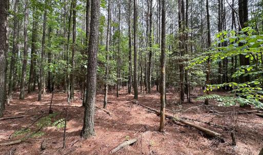 Photo #10 of SOLD property in Lot 2 - Off Kegotank Rd, Nelsonia, VA 1.8 acres